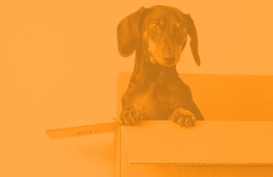 15+ items you should NOT put in selfstorage units Metro Storage