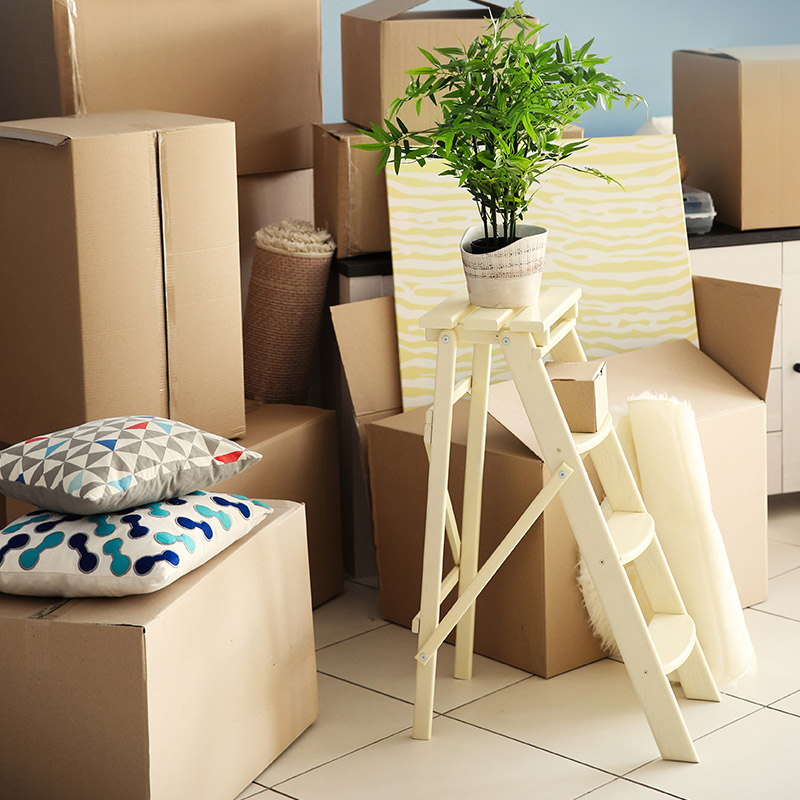 cardboard boxes and a step ladder with a plant on top